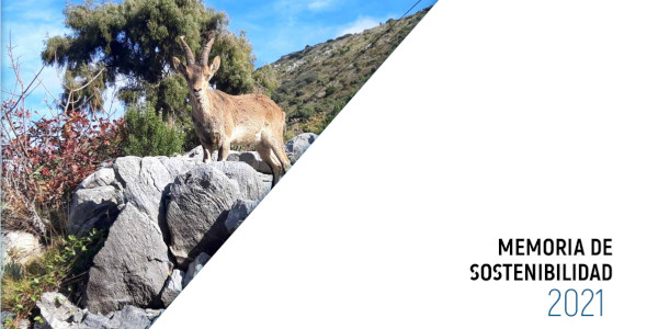 Sustainability Report 2021