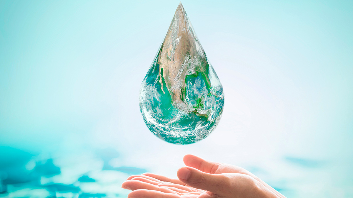 Sustainable landscaping