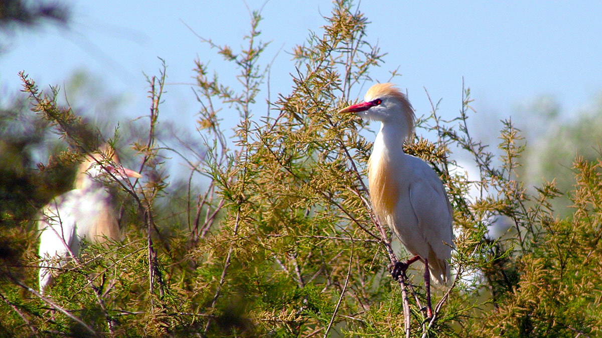 Vers un habitat durable