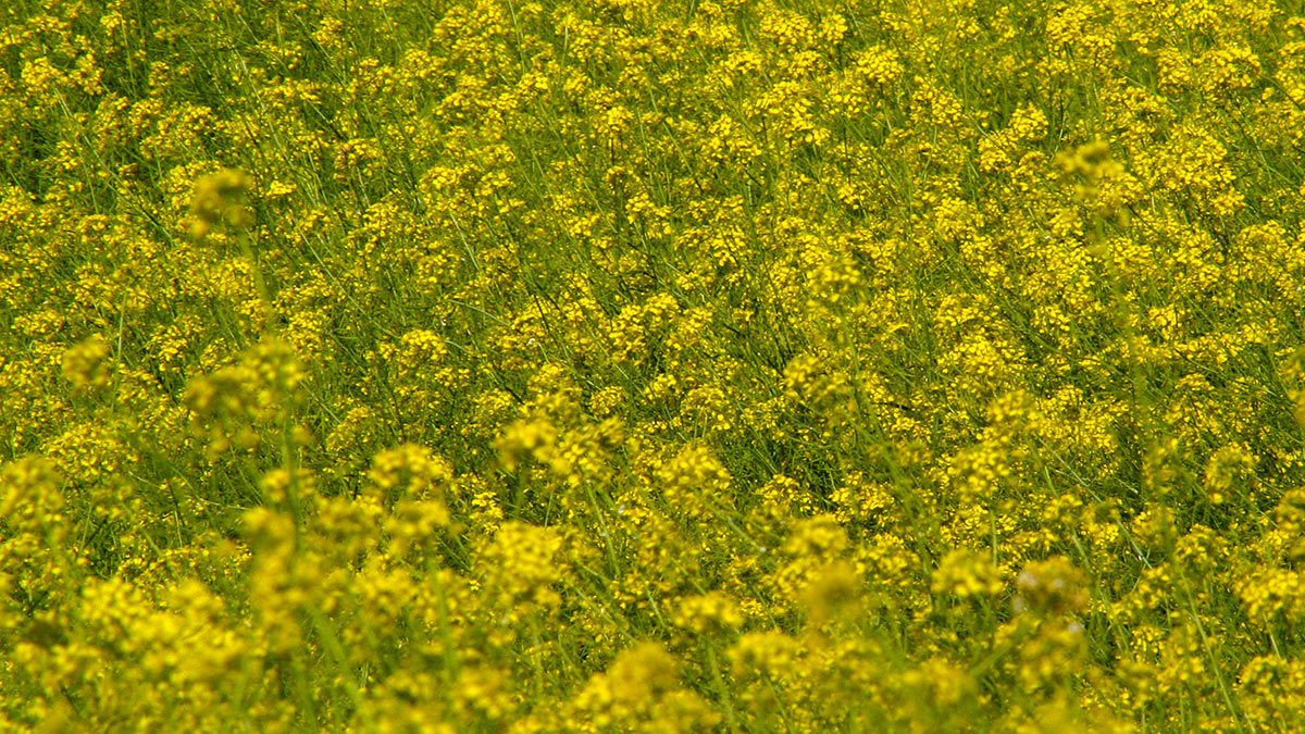 Extraction durable à la source