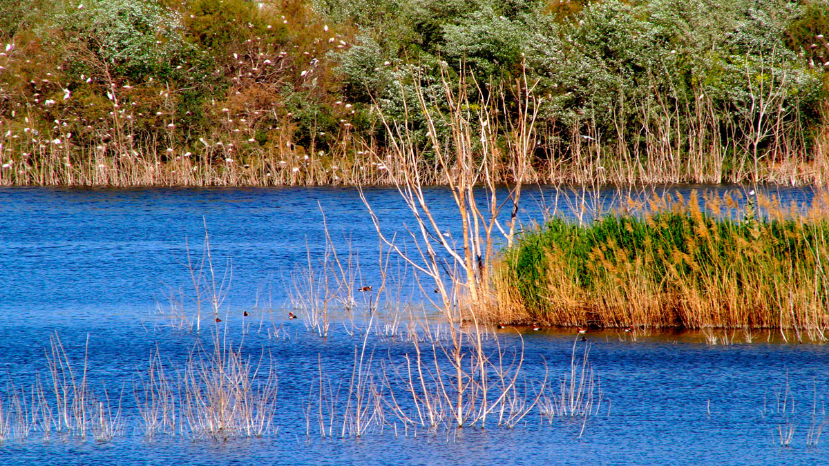 Environmental excellence